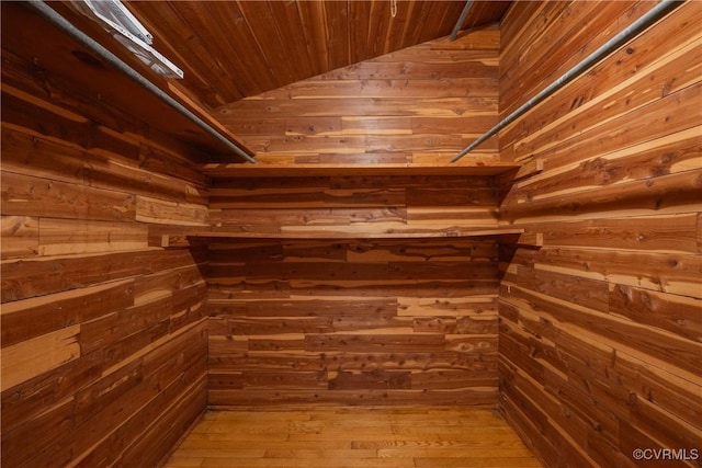 spacious closet featuring lofted ceiling