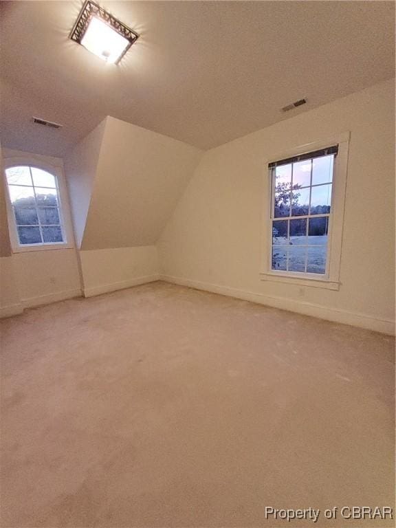 additional living space with vaulted ceiling and carpet