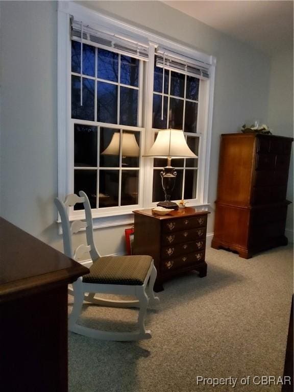 living area featuring carpet floors