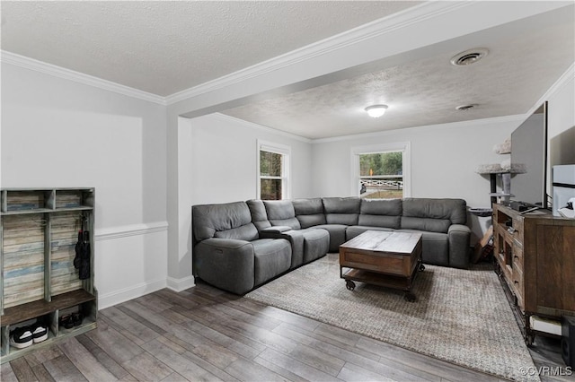 living room with wood-type flooring, ornamental molding, and a textured ceiling