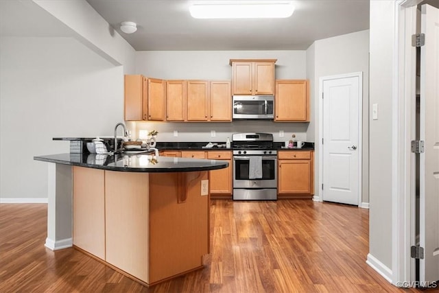 kitchen with sink, light hardwood / wood-style flooring, kitchen peninsula, and appliances with stainless steel finishes