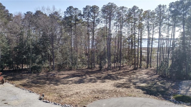 00 Carmines Island Rd, Hayes VA, 23062 land for sale