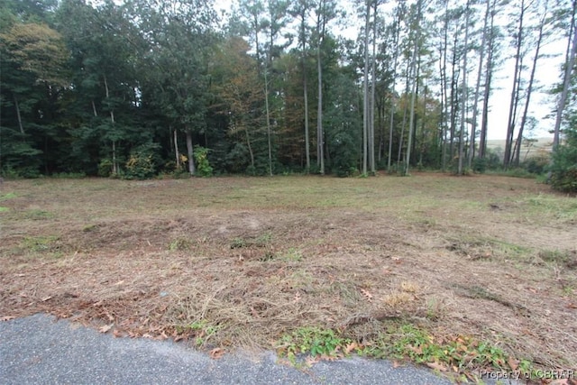 Listing photo 3 for 00 Carmines Island Rd, Hayes VA 23062