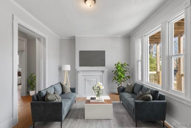 living room with hardwood / wood-style flooring and crown molding