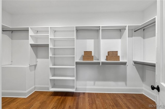 spacious closet with hardwood / wood-style floors