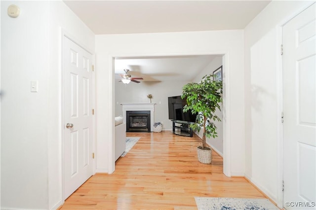 hallway with light wood-type flooring