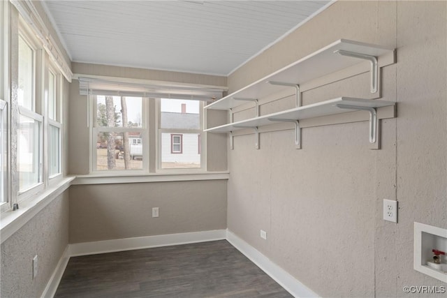 walk in closet featuring dark hardwood / wood-style flooring