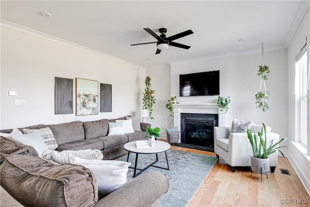 living room featuring ceiling fan, ornamental molding, and light wood-type flooring