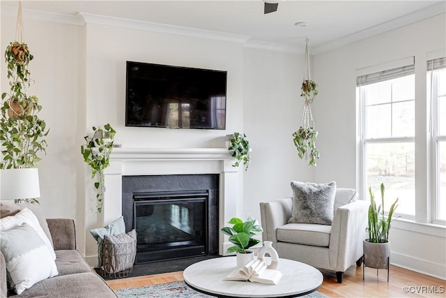 living room with ornamental molding, plenty of natural light, and hardwood / wood-style floors