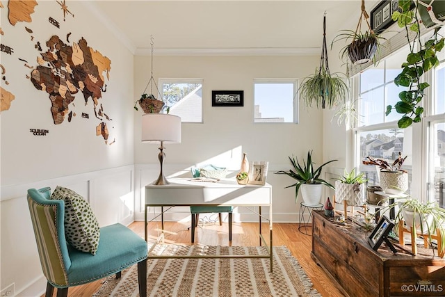 interior space with crown molding, light hardwood / wood-style floors, and a wealth of natural light