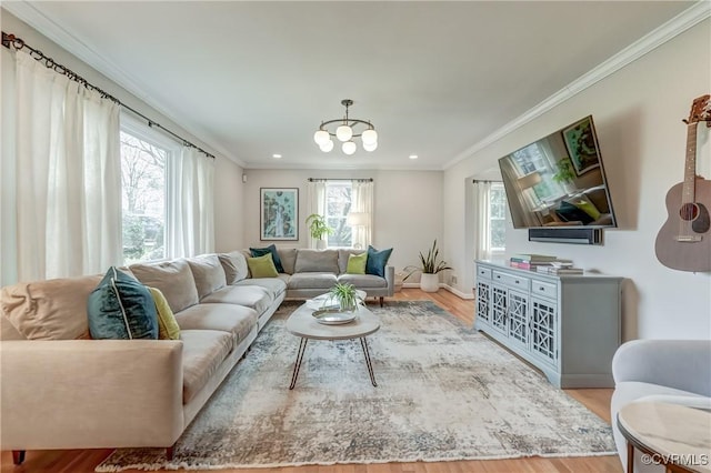 living room with a healthy amount of sunlight, crown molding, and wood finished floors