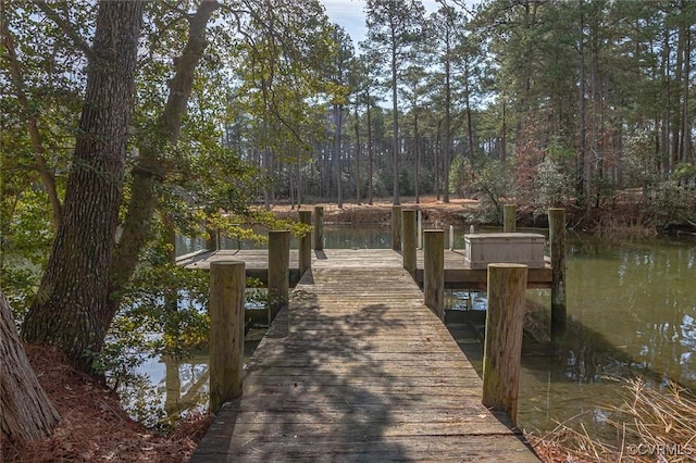 dock area with a water view