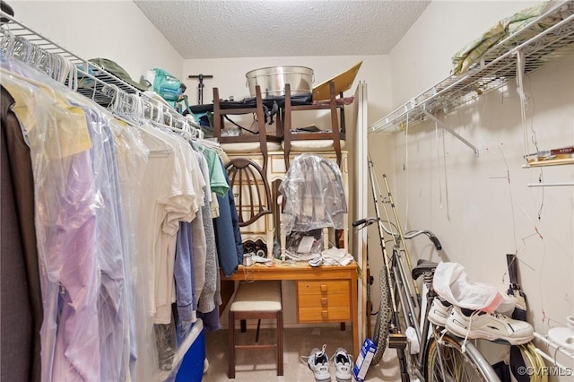 spacious closet featuring carpet floors