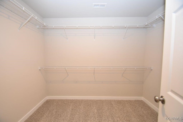 spacious closet featuring carpet floors