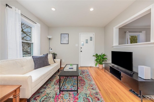 living room with hardwood / wood-style floors