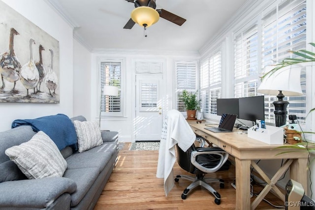 office area featuring ceiling fan, ornamental molding, and light hardwood / wood-style flooring