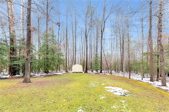 view of yard with a storage shed and an outdoor structure