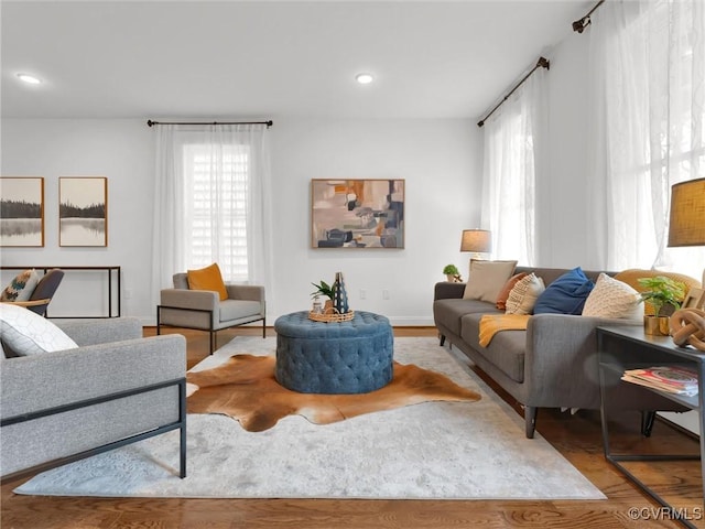 living room featuring light hardwood / wood-style flooring