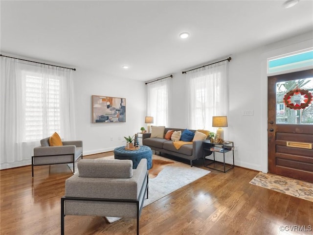 living room with hardwood / wood-style flooring