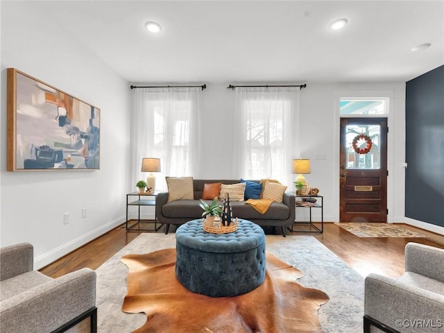 living room featuring plenty of natural light and wood-type flooring