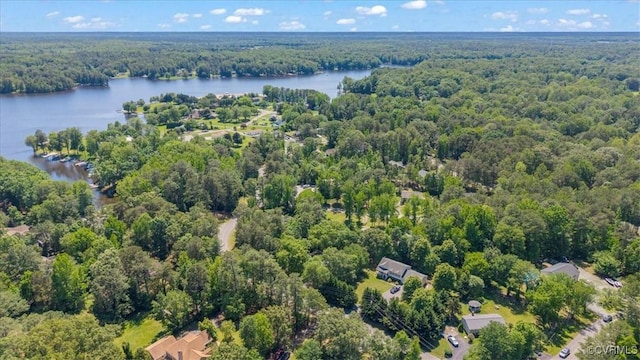 803 Lake Caroline Dr, Abingdon, VA 22546 - aerial view of a forest and a large body of water