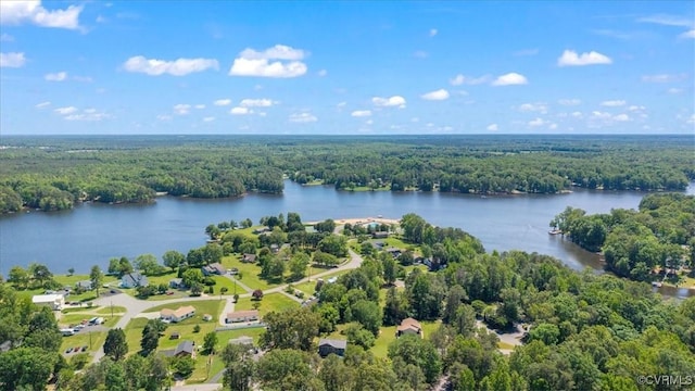 803 Lake Caroline Dr, Abingdon, VA 22546 - aerial view of a forest and a large body of water