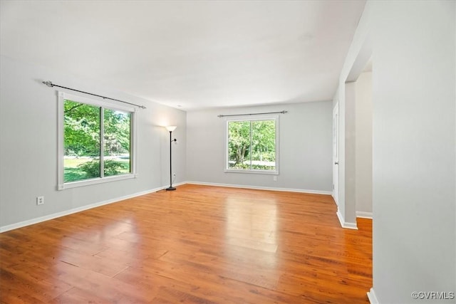 803 Lake Caroline Dr, Abingdon, VA 22546 - spare room with plenty of natural light, light wood finished floors, and baseboards