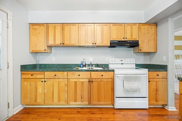 803 Lake Caroline Dr, Abingdon, VA 22546 - kitchen with white electric stove, under cabinet range hood, a sink, dark countertops, and light wood-style floors