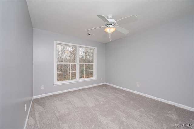 13023 Stonewall Jackson Rd, Woodford, VA 22580 - photo 21