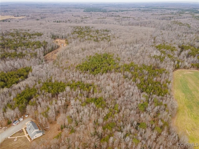 13023 Stonewall Jackson Rd, Woodford, VA 22580 - photo 46