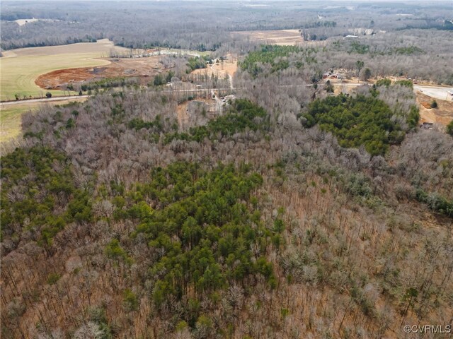 13023 Stonewall Jackson Rd, Woodford, VA 22580 - photo 43