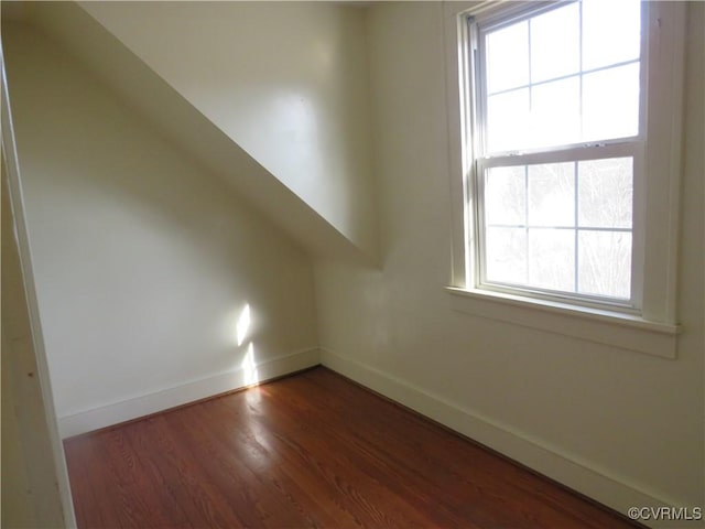 bonus room featuring dark hardwood / wood-style flooring