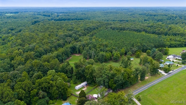 bird's eye view