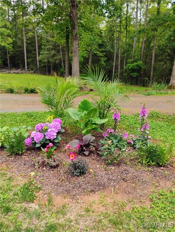 1092 Saunders Ln, Green Bay, VA 23942 - photo 35