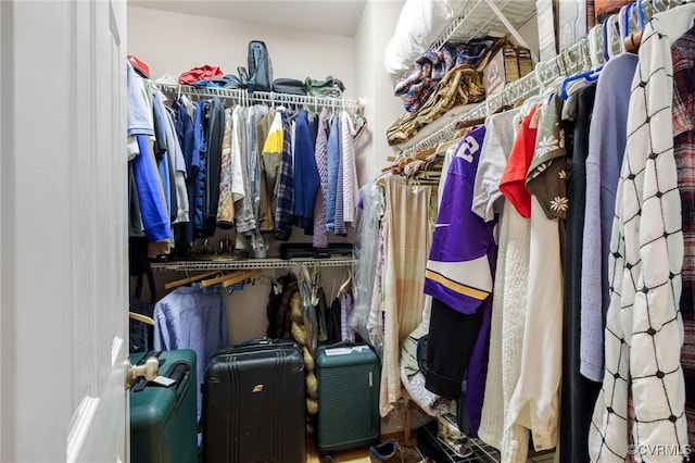 view of spacious closet