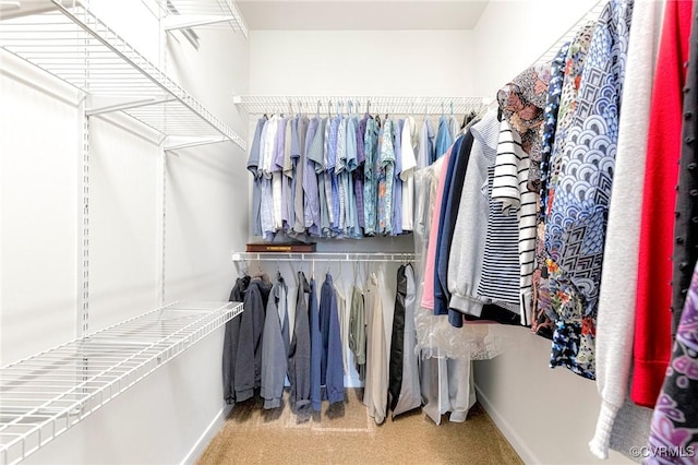 view of spacious closet