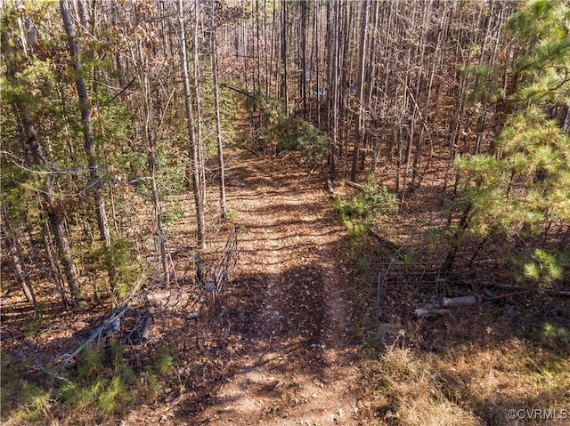 0 Grannys Ln, Goochland, VA 23146