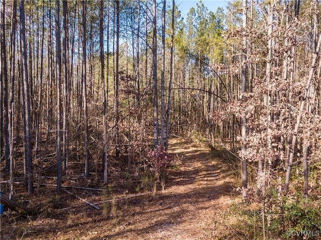 0 Grannys Ln, Goochland, VA 23146