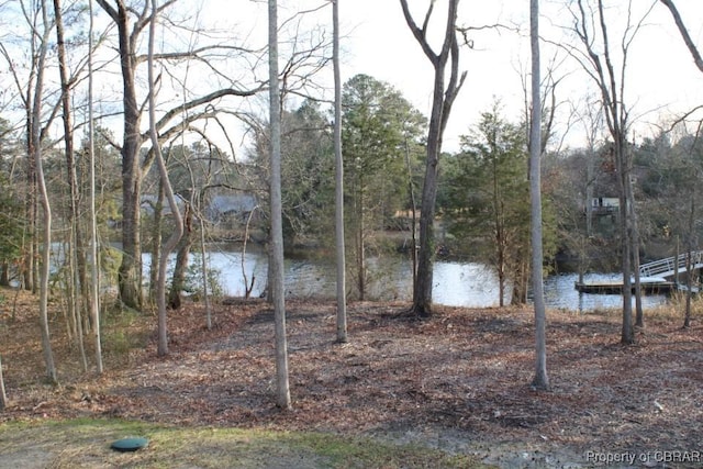 view of water feature