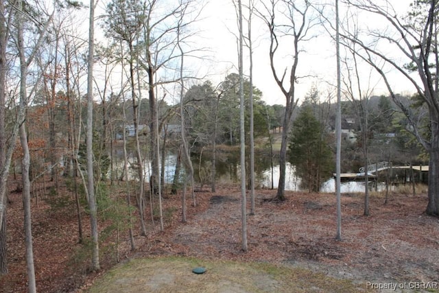 view of yard with a water view