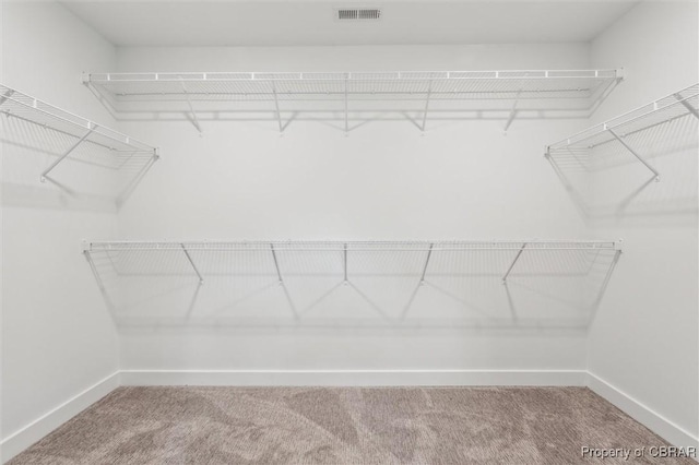 8280 Mobjack Ln, Hayes, VA 23072 - spacious closet with carpet flooring and visible vents