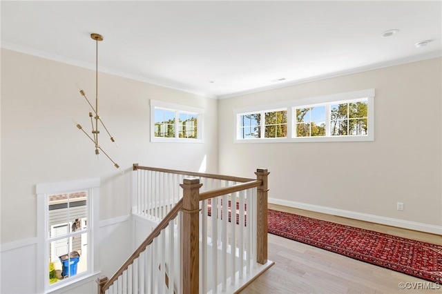 hall with crown molding and light hardwood / wood-style floors