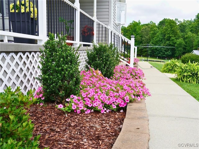 2196 T N Snow Rd, Nathalie, VA 24577 - photo 3
