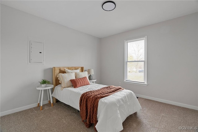 carpeted bedroom with electric panel