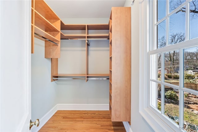 walk in closet with wood finished floors