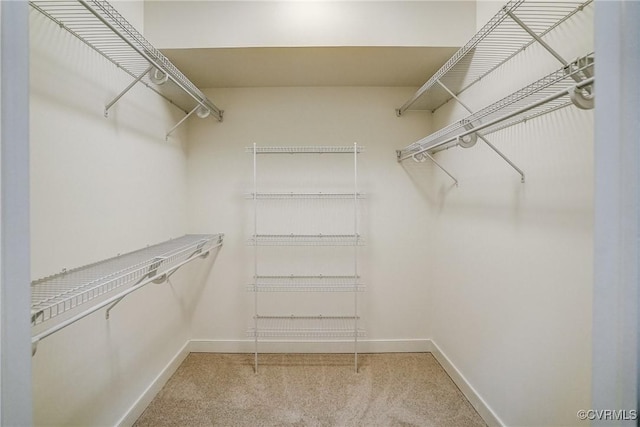 walk in closet featuring light colored carpet