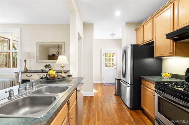 kitchen with stainless steel appliances, dark countertops, and a sink