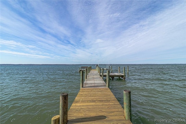 dock area with a water view