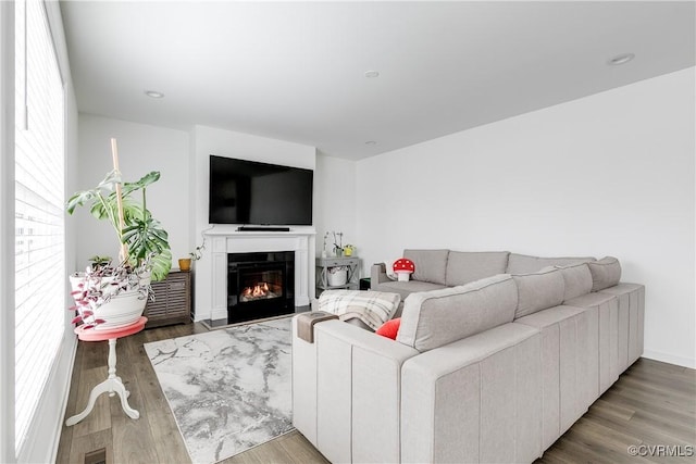 living room with light hardwood / wood-style floors