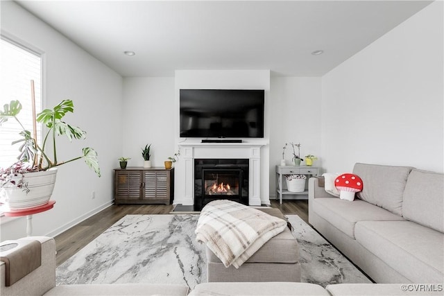 living room featuring dark hardwood / wood-style floors